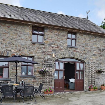 Ty Coch Cottage Dihewid Dış mekan fotoğraf